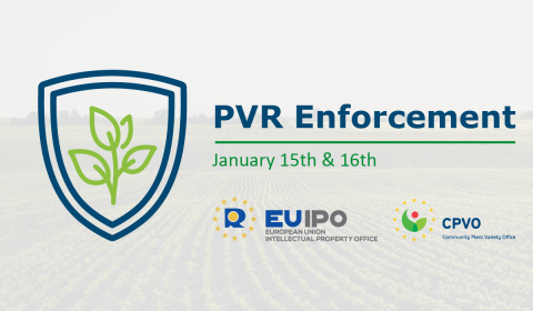 A visual raising awareness on a joint seminar from the CPVO and EU IPO on the topic of PVR Enforcement