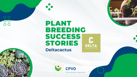 Graphic Promoting the 'Plant Breeder Success Stories' series of articles.
