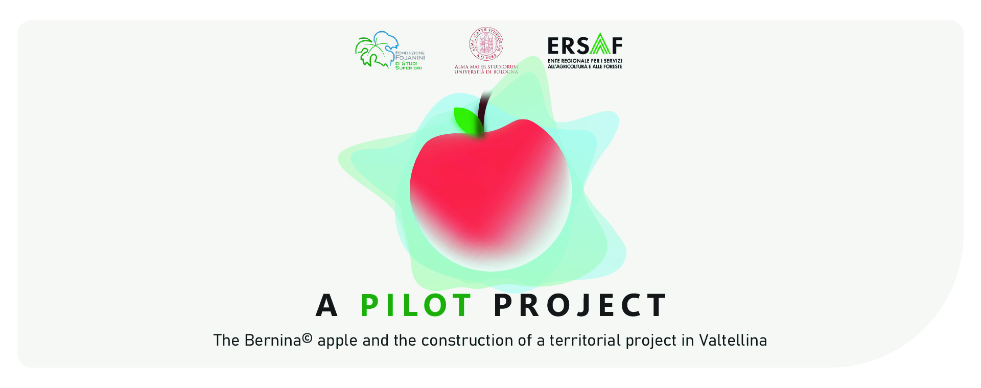 A pilot project
