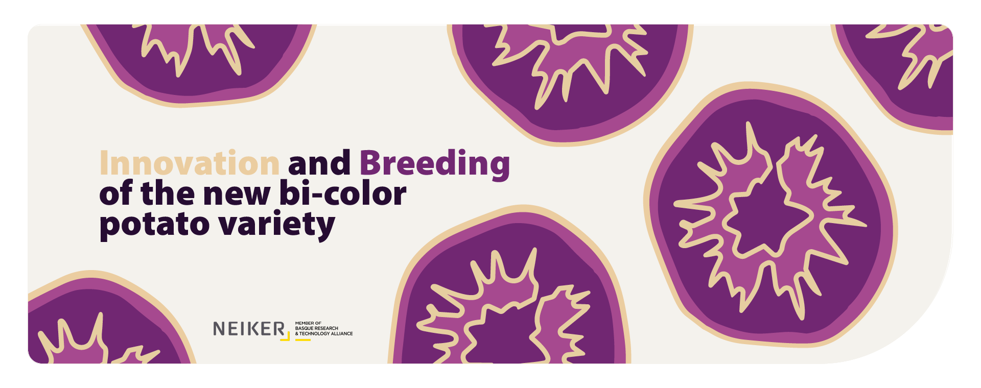 Innovation and Breeding of the new bi-color potato variety