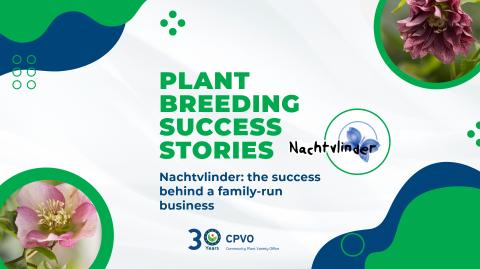 plant-breeder-success-stories Nachtvlinder