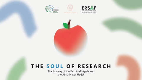 The Soul of Research
