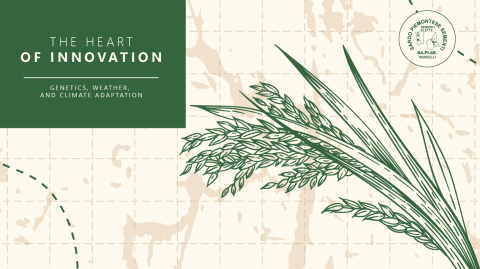 The Heart of Innovation