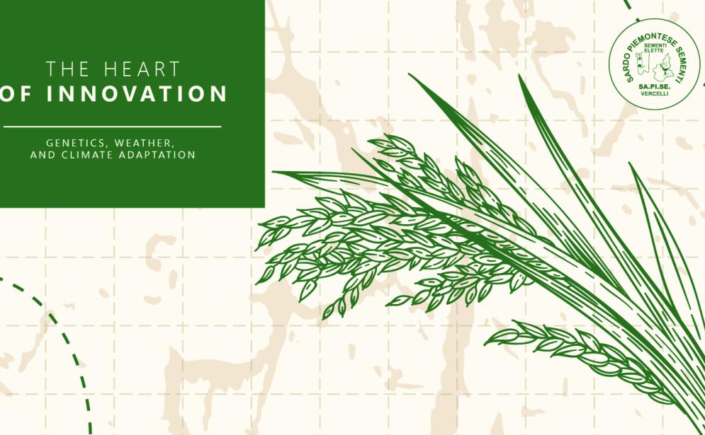 The Heart of Innovation