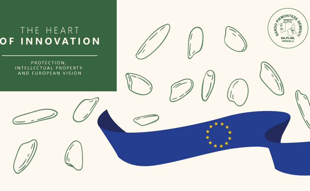 Protection, Intellectual Property and the European Vision
