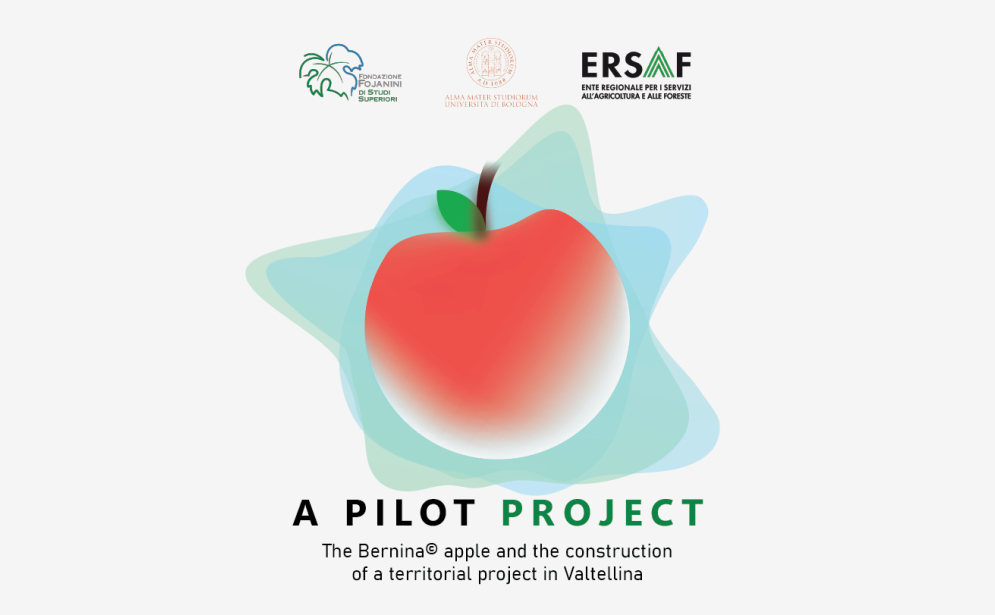 A pilot project