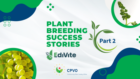 Plant Breeder Success Stories Part 2