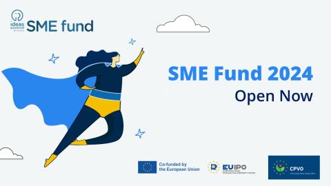 Graphic promoting the 2024 SME Fund.