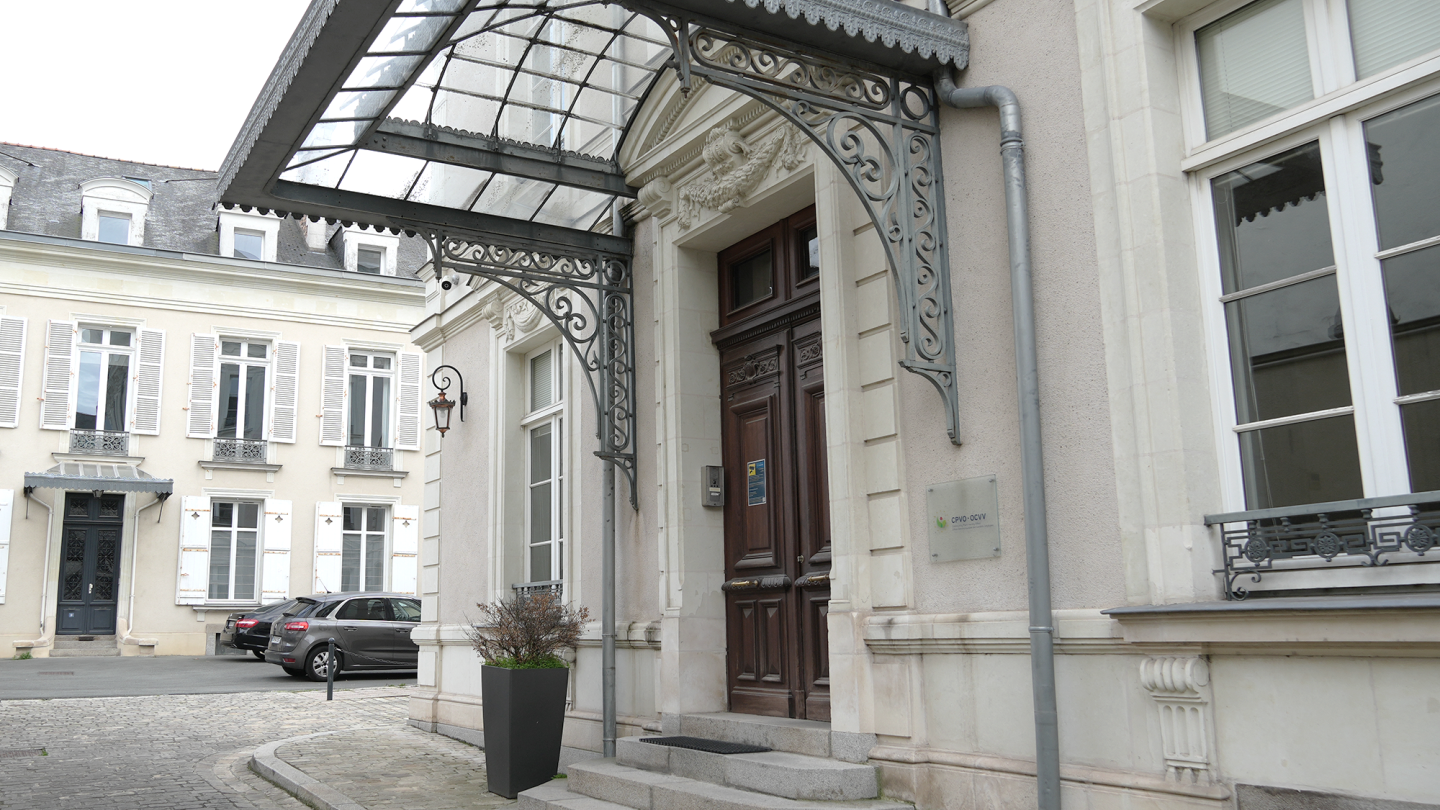 Building at 9 boulevard du Maréchal Foch, Angers