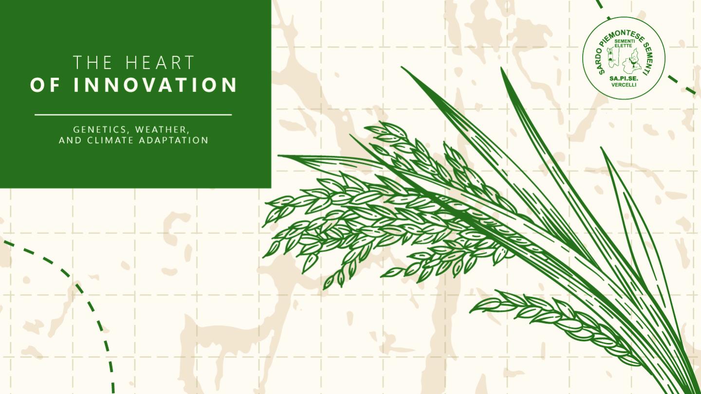 The Heart of Innovation