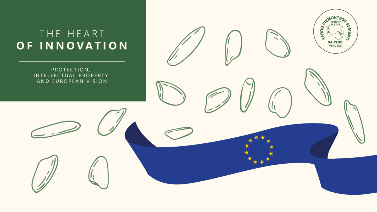 Protection, Intellectual Property and the European Vision