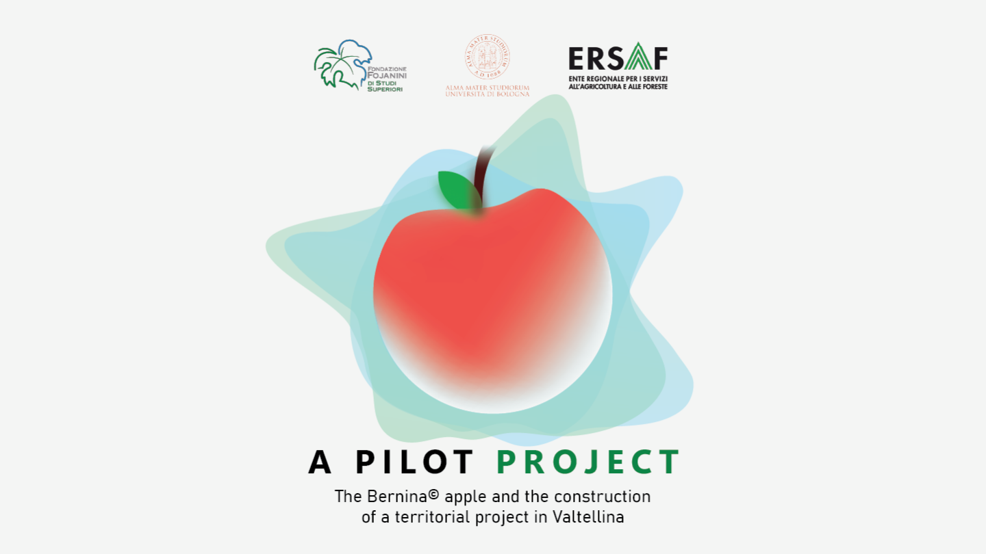 A pilot project